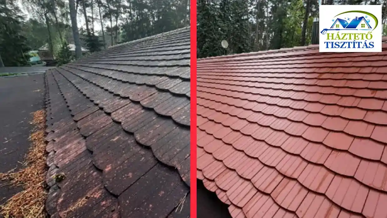 Tetőtisztítás, moha eltávolítás